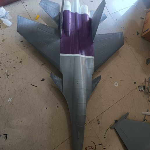 1000077855.jpg Sukhoi-30 MKI