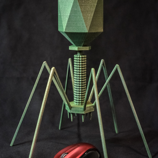 Capture d’écran 2017-02-24 à 17.51.52.png Bakteriophage - T4-Virus