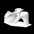 Screen-Shot-2023-02-03-at-9.20.14-AM.png Anatomical Model - Right Shoulder Bone Joint