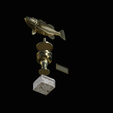 peacock-bass-trophy-3-1-2-14.png Peacock bass (Cichla ocellaris) fish trophy cup 2 for 3d printing