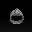 erw98fs544s5d4fsd12fs14.jpg Modelo de impressão 3D do Elephant Ring N2