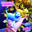 3d-cat-1.jpg FLEXI CAT | PRINT-IN-PLACE