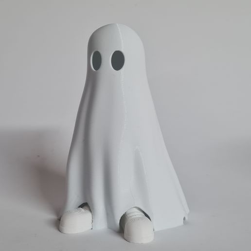 20230929_172132.jpg Ghost under the blanket