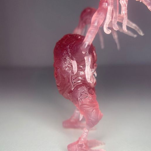 Swampling.11.foto.jpeg 游泳胫骨生物