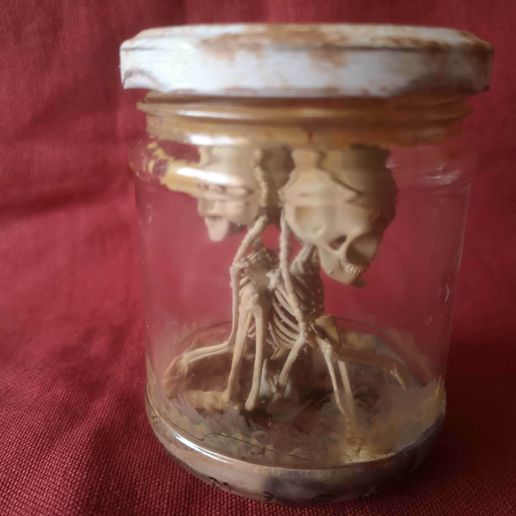 IMG_20220220_170332.jpg Alien skeleton, skeleton in the jar