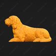 1058-Basset_Griffon_Vendeen_Petit_Pose_07.jpg Basset Griffon Vendeen Petit Dog 3D Print Model Pose 07