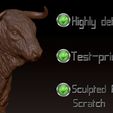 Summary-A.jpg A Nice Bull for Your Idyllic Farm...and your personal protection