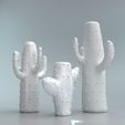 CATUS-WHITE.jpg CACTUS