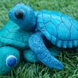 Tortugas_03.jpg Articulated Baby Sea Turtle