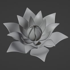 ScreenShot002.jpg Lotus Flower