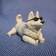 IMG_20220228_165934.jpg Archivo STL FLEXY CORGI・Diseño de impresora 3D para descargar
