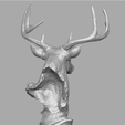 deer_14.png Deer head skulpture