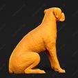 2533-Boxer_Pose_05.jpg Boxer Dog 3D Print Model Pose 05