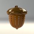 1.jpg acorn- colino da tè