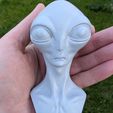 GreyAlienPrint.jpg Buste d'extraterrestre gris