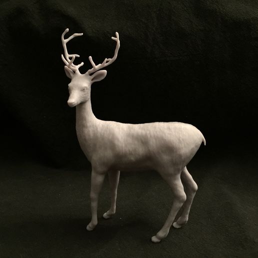 IMG_3375.JPG Datei STL Deer with Antlers herunterladen • Design für 3D-Drucker, SoulKim3D