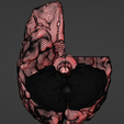 15.png 3D Model of Brain - section
