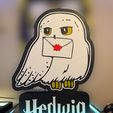IMG_9204.jpeg Lightbox Hedwig - Harry Potter