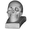 SkullOnBook2.jpg Crane sur Livre - Skull on Book