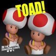 cults1.jpg TOAD - Super Mario Bros ( Supportless )