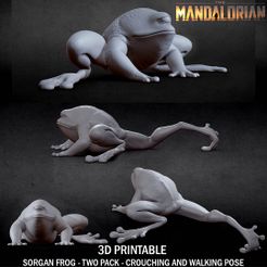 SORGAN-THUMB_02-TWO-PACK-CULTS3D.jpg STL-Datei 3D DRUCKBARE SORGAN FROSCH ZWEI PACK DER MANDALORIANER・Modell zum Herunterladen und 3D-Drucken