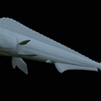 Base-mahi-mahi-36.png fish mahi mahi / common dolphin fish statue detailed texture for 3d printing