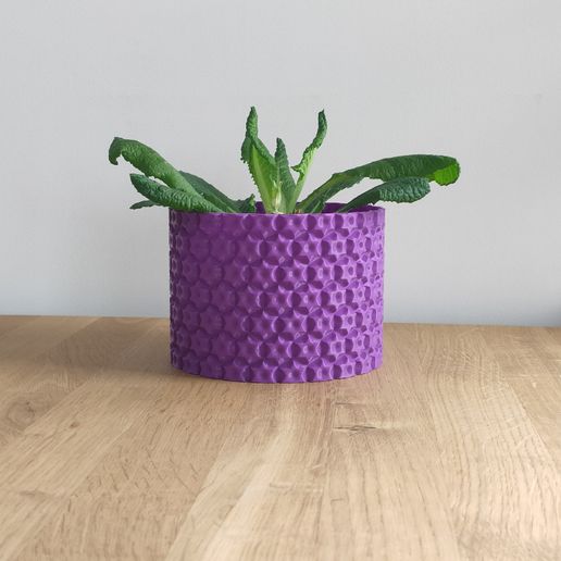 IMG_20240222_200636.jpg Blumentopf05