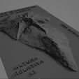 LAPALMA001.jpg 西班牙加那利群岛拉帕尔马