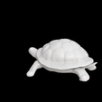 turtle-01.png Turtle