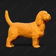 1031-Basset_Griffon_Vendeen_Petit_Pose_03.jpg Basset Griffon Vendeen Petit Dog 3D Print Model Pose 03