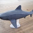 20230718_173504.jpg Megalodon shark, scientifically accurate.