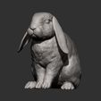 rabbit-ram7.jpg Rabbit ram 3D print model