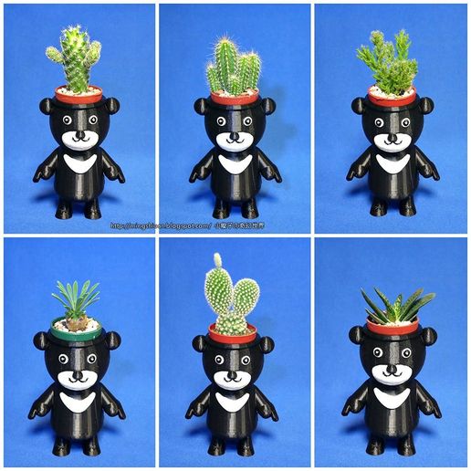 BEAR-BRAVO_02.jpg BEAR BRAVO Горшечные растения