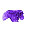 Skull_Part_07.stl STL file Diplodocus skull・3D printing model to download