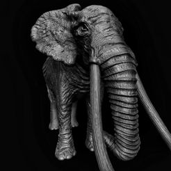 4.jpg Elephant