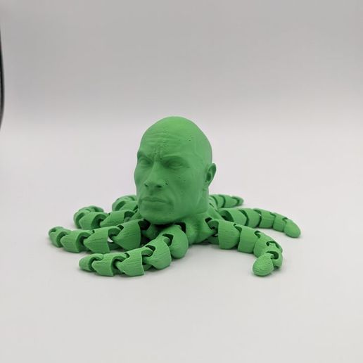258910881_474759020626307_2669180488874972014_n.jpg The Rocktopus