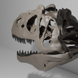 untitled1.png Allosaurus Skull 3d print Model 34 CM