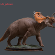R_001.png Centrosaurus apertus
