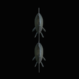Bream-fish-14.png fish Common bream / Abramis brama solo model detailed texture for 3d printing