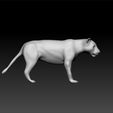 lon77_2.jpg Lion- lion toy - female lion 3d model for 3d print