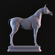 01.png Arabian Horse