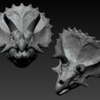 01.jpg Triceratops Head