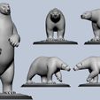 02.jpg Polar Bear