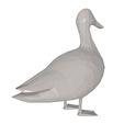 Duck-Low-Poly-3.jpg Duck Low Poly