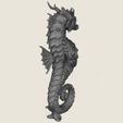 Seahorse-09.jpg Seahorse