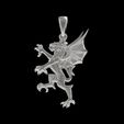 16.jpg 00039 Dragon Small Charm Pendant