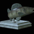 zander-open-mouth-tocenej-7.png fish zander / pikeperch / Sander lucioperca trophy statue detailed texture for 3d printing