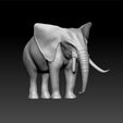 eeee1.jpg Elephant - realistic elephant for game and 3d print
