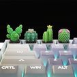 cactus_01.jpg Cactus keycaps - Mechanical Keyboard