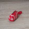 20230911_150117.jpg Clownfish